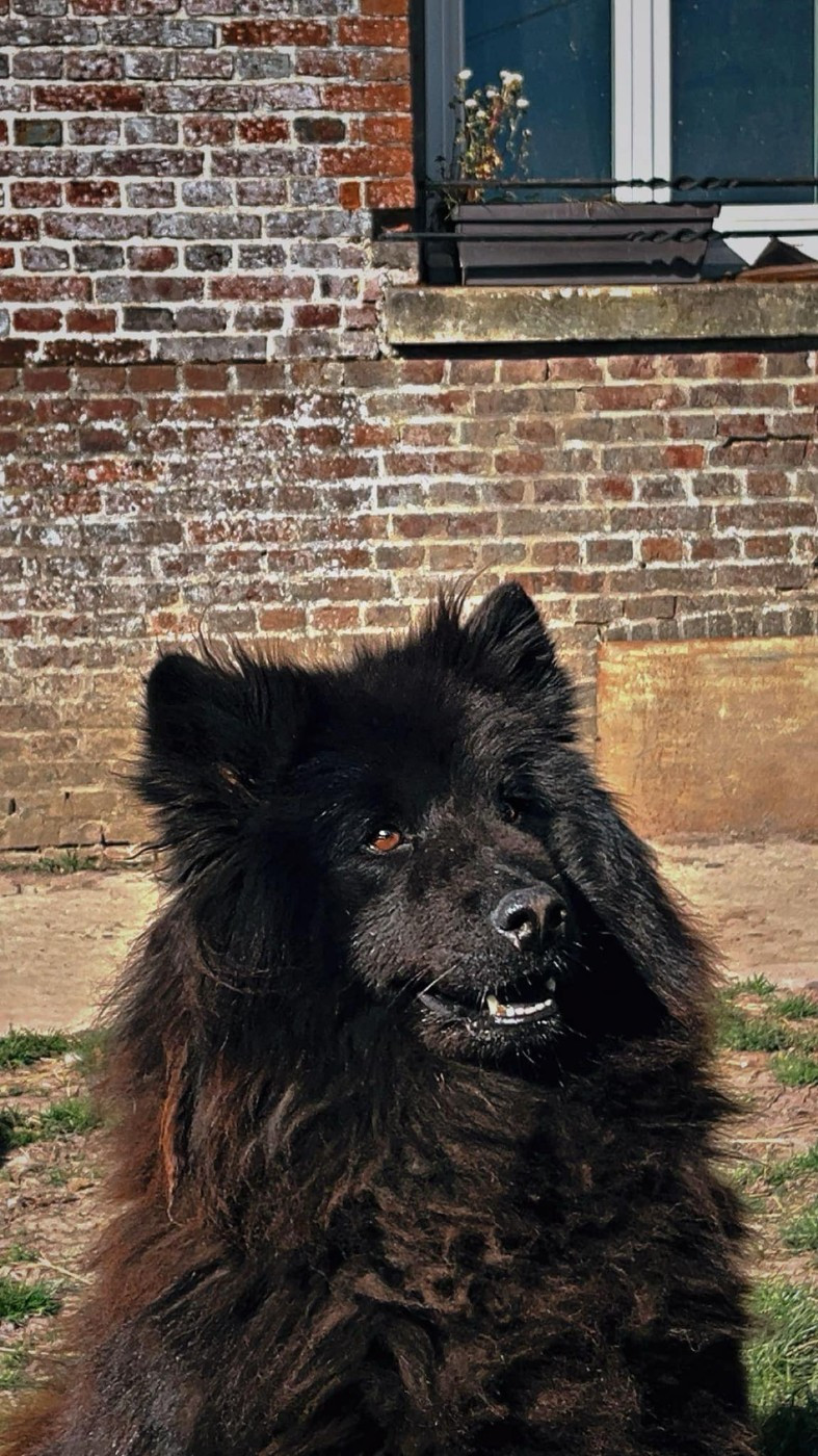 7 petites merveilles sont né hier soir et cette nuit